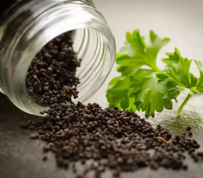 black pepper
